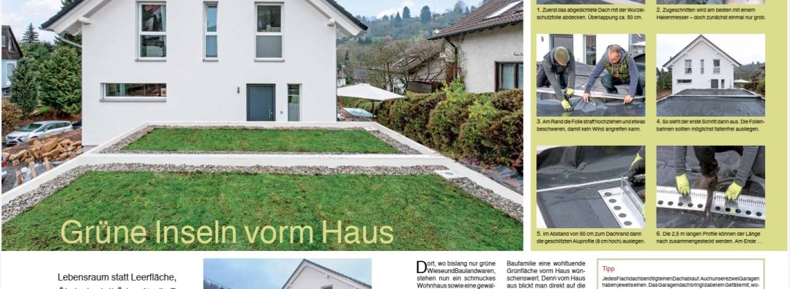 Dachbegrünung selbst gemacht 2 Grüne Inseln vorm Haus