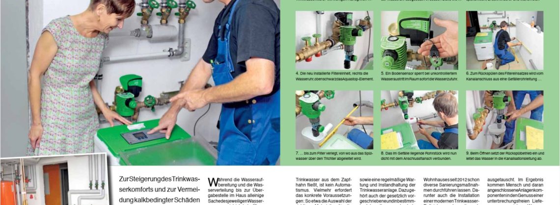 Mit Salz gegen Kalk Anleitung