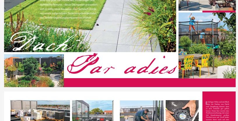 Dachgarten anlegen Anleitung