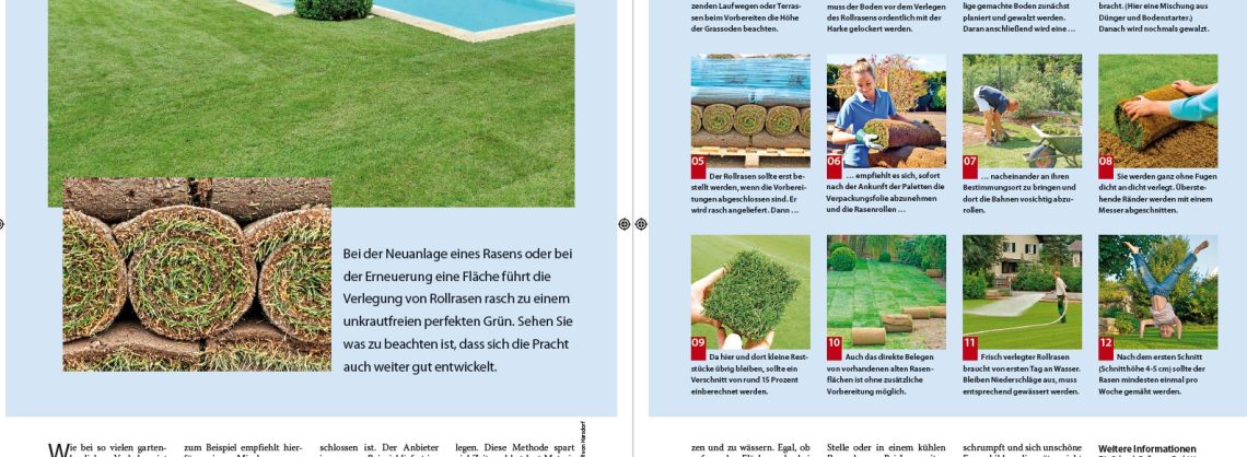 Rollrasen selbst verlegen Schritt für Schritt Anleitung