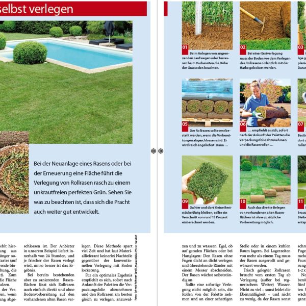 Rollrasen selbst verlegen Schritt für Schritt Anleitung